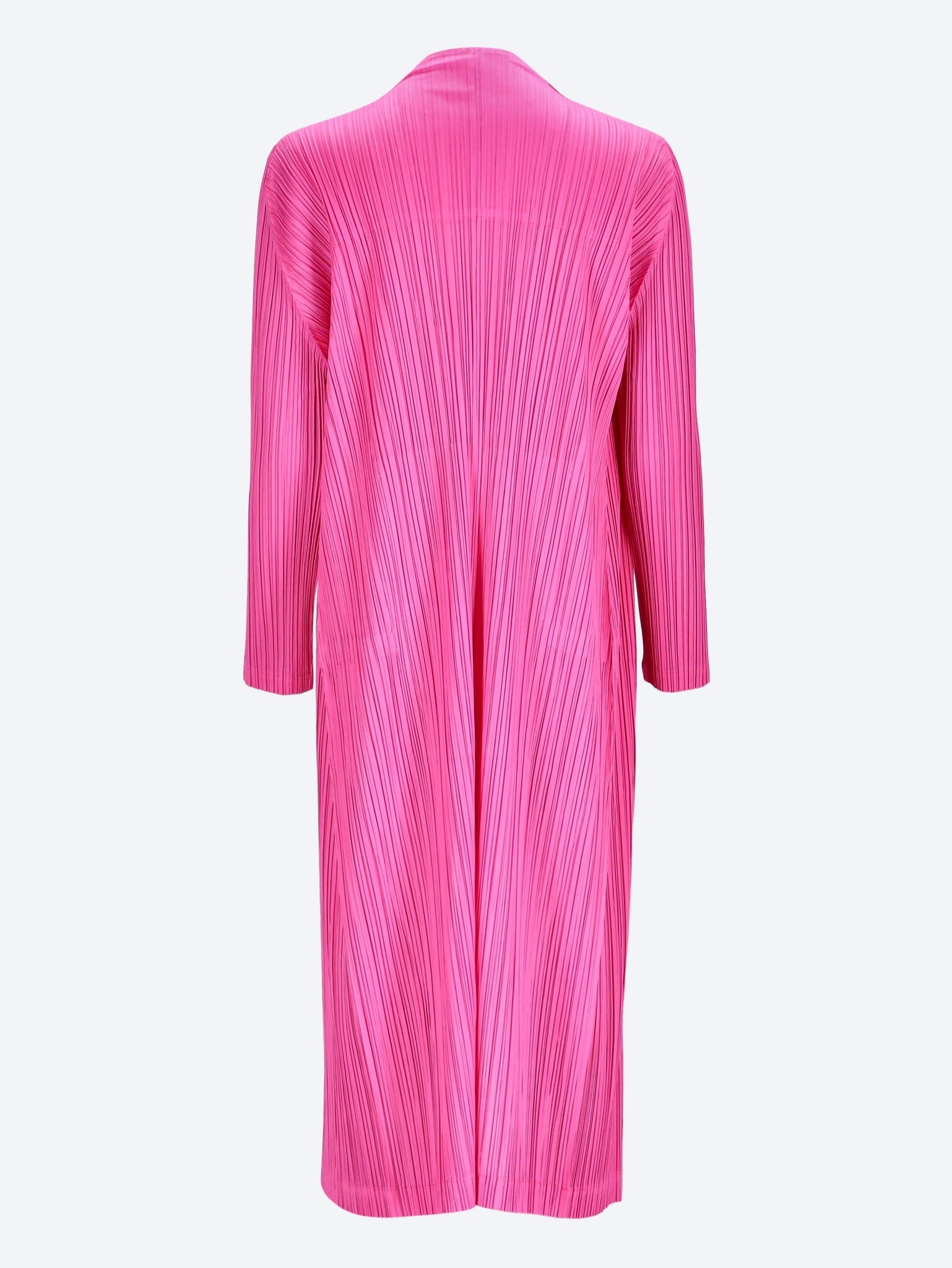 January coat 3