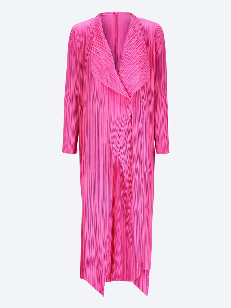 January coat 1