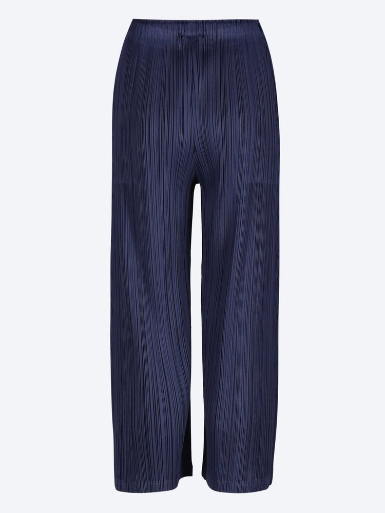 January pants 3