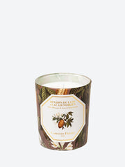 Laos benzoin & ivorian cocoa candle ref:
