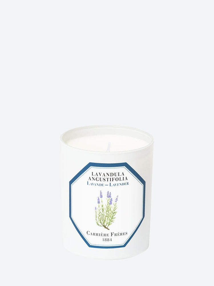 Lavandula angustifolia lavender candle 1