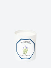 Lavandula angustifolia lavender candle ref: