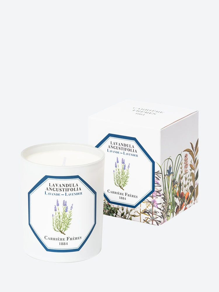 Lavandula angustifolia lavender candle 2