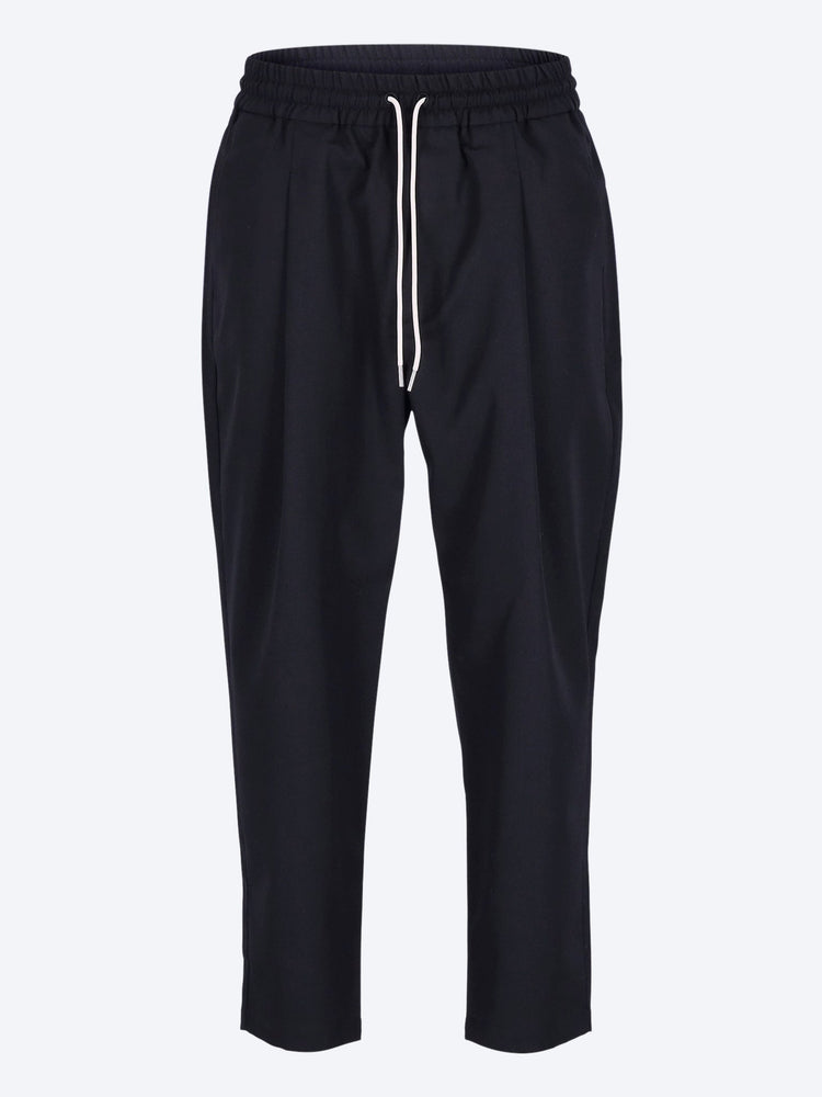 Cropped pants 1