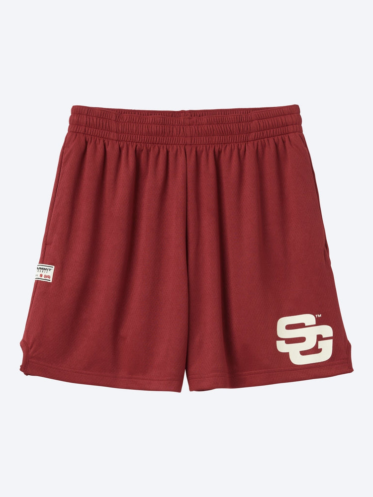Mesh shorts 1