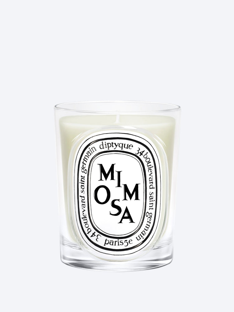 Mimosa candle 190g 1