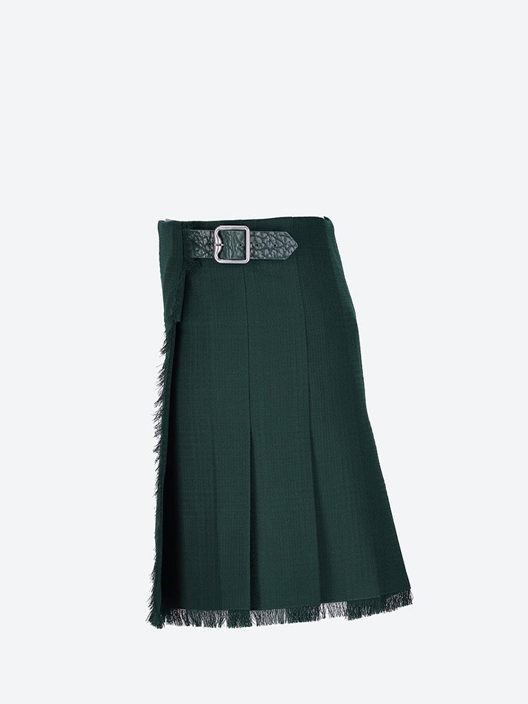 Mini skirt 2
