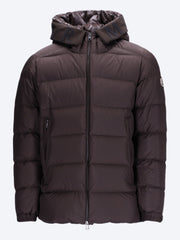 Orvelle jacket ref: