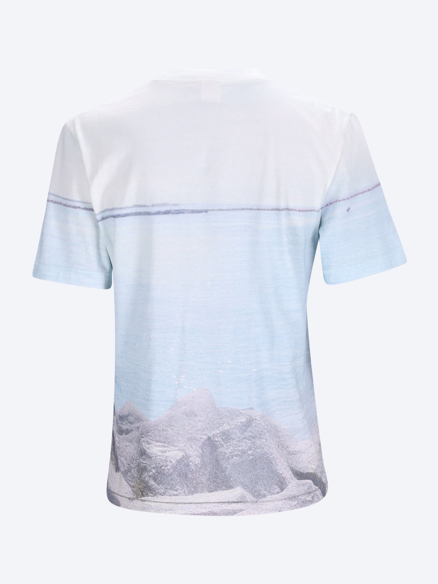 T-Shirt mit Bilddruck 2