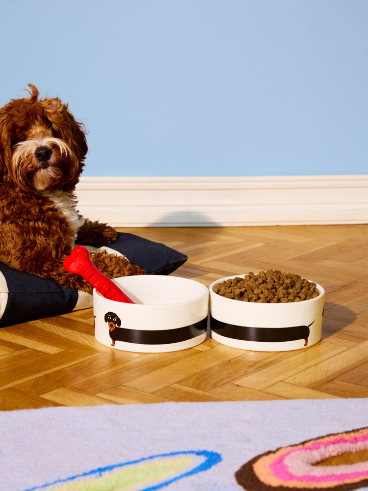 Bowl dog 3