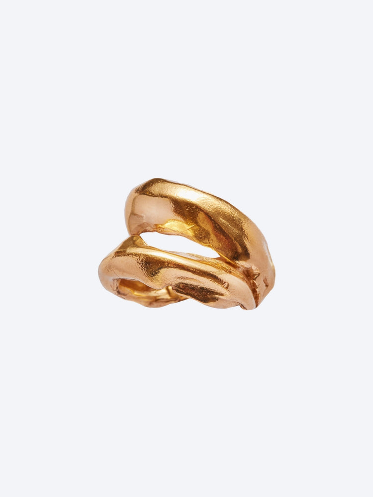 Ring came gold 2