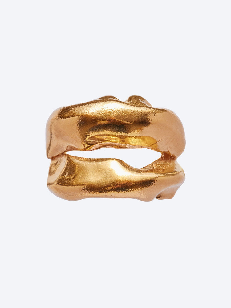 Ring came gold 1