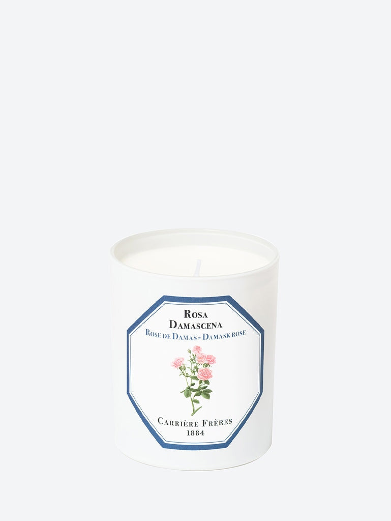 Rosa Damascena Damask Rose Bandle 1