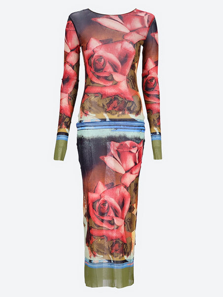 Roses mesh long sleeves dress