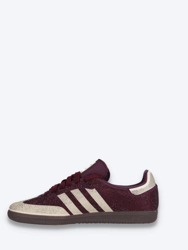 Samba und Turnschuhe 4