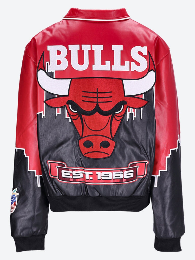 Skyline chicago bulls jacket 3