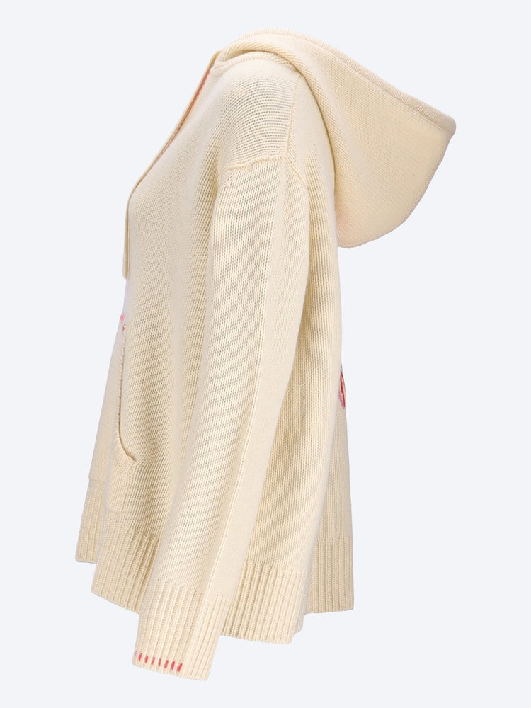 Solmar hoodie 2