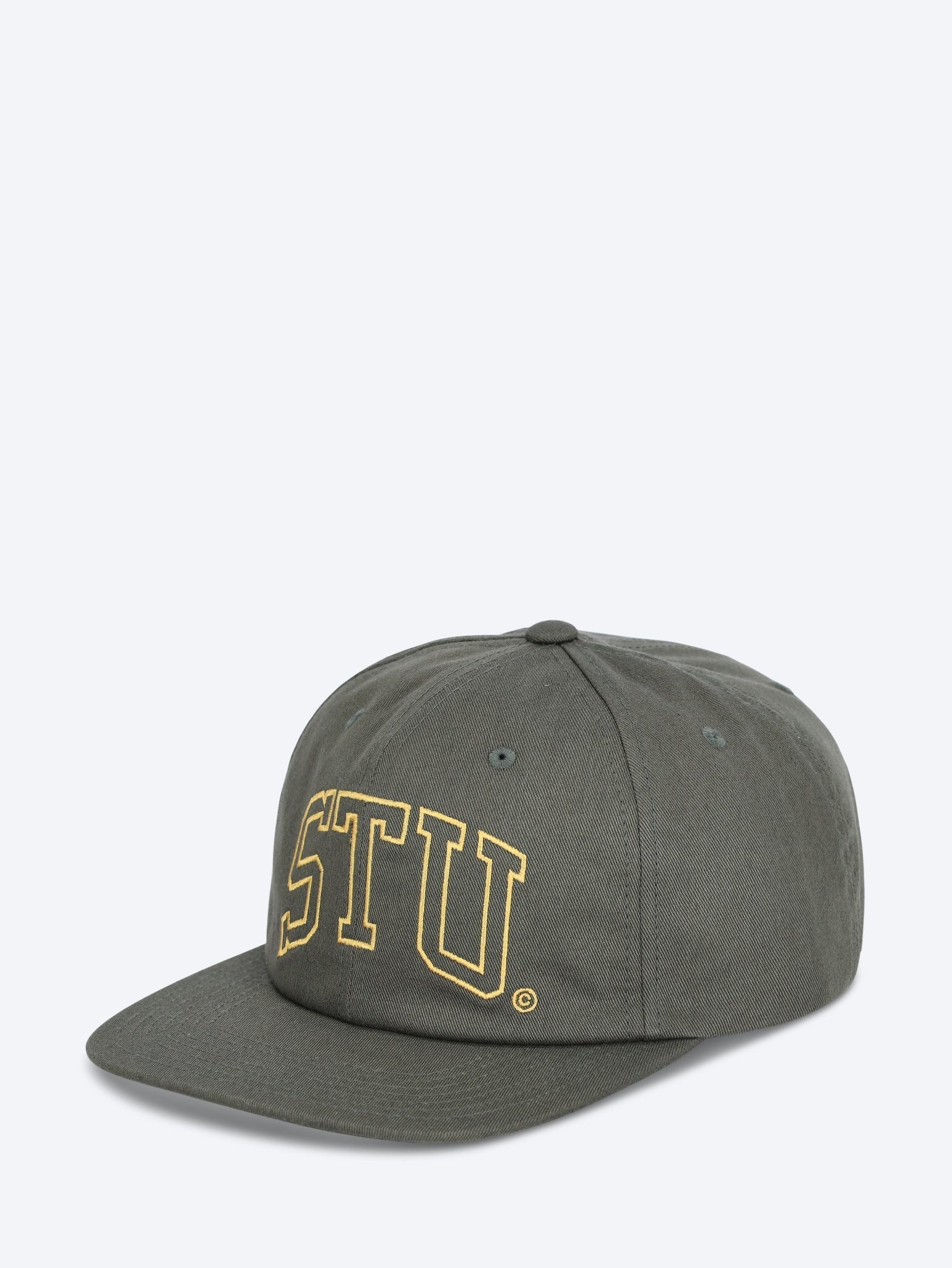 Stu arch strapbacl cap 2