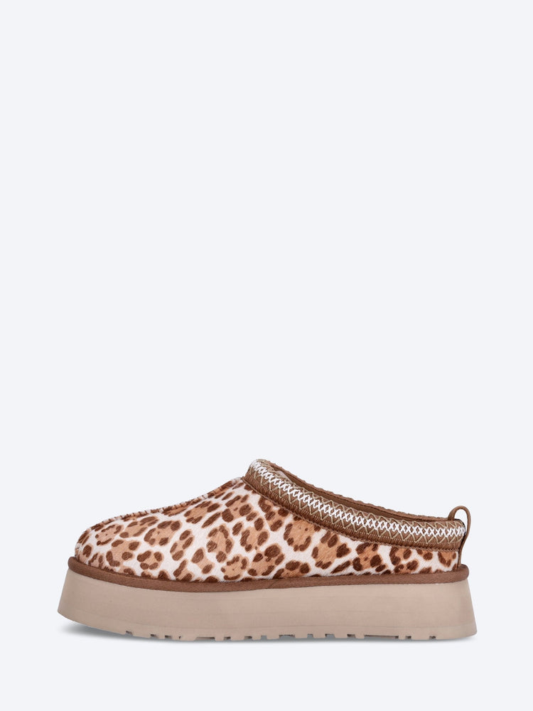 Tazz plains slippers 4