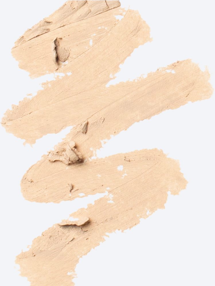 The complexion stick 2n 2