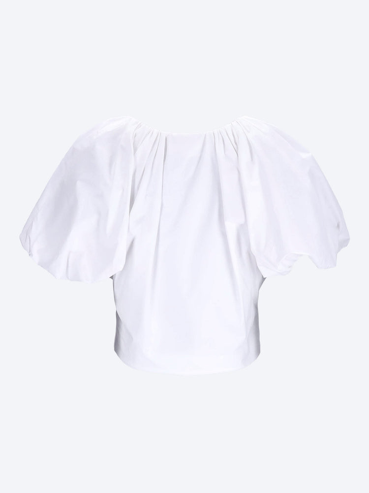 The dramatic sleeve shirt 2