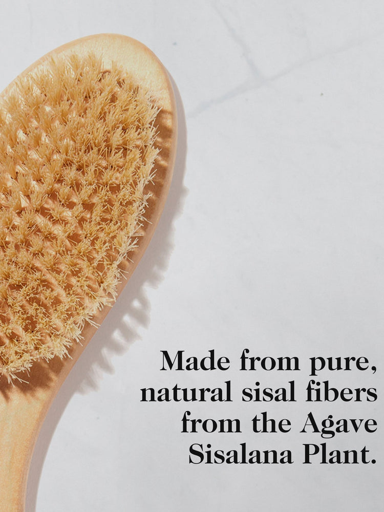 Ultimate dry brush 7