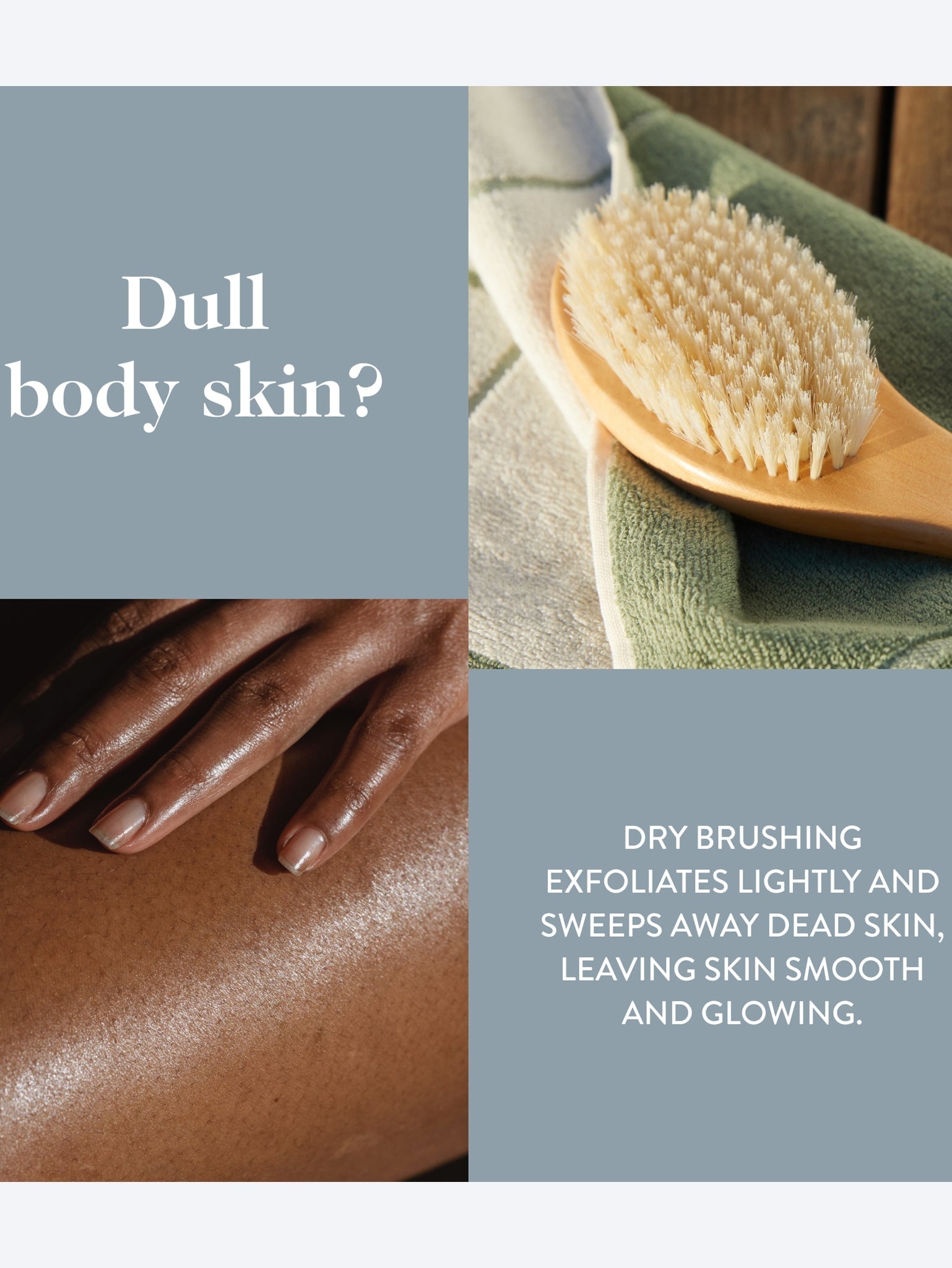 Ultimate dry brush 8