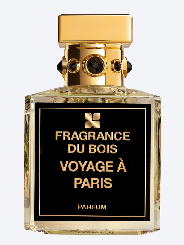 Voyage à Paris EDP 1