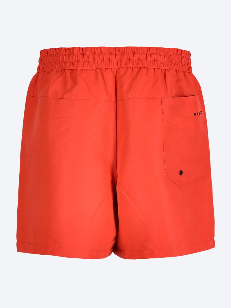 Waterscape hybrid 17'' shorts 3