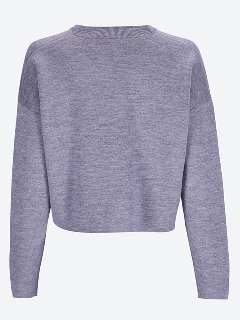 Wool short anagram sweater 3