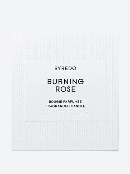 Candle burning rose 70g