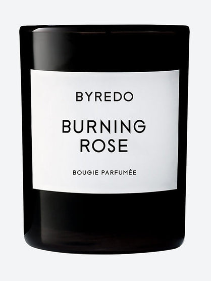 Candle burning rose 70g