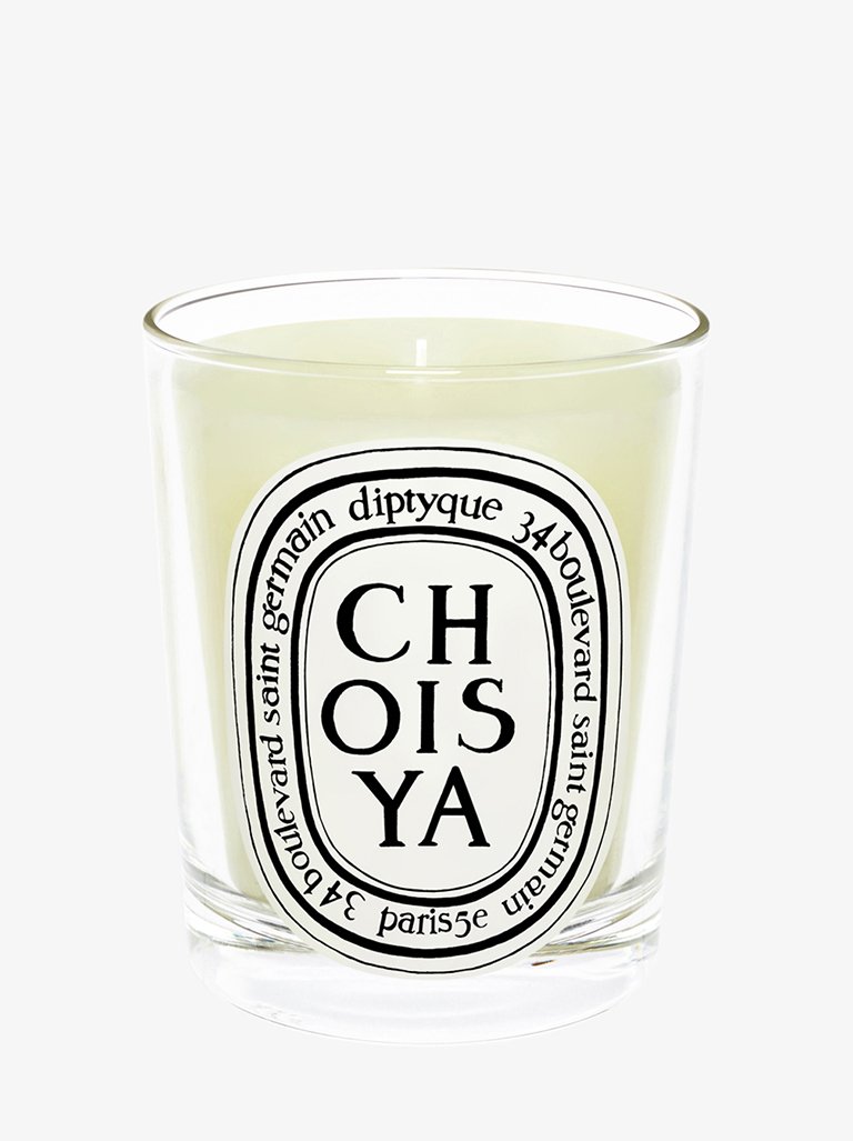 Choisya candle 1
