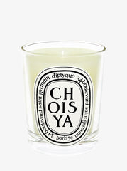 Choisya candle ref: