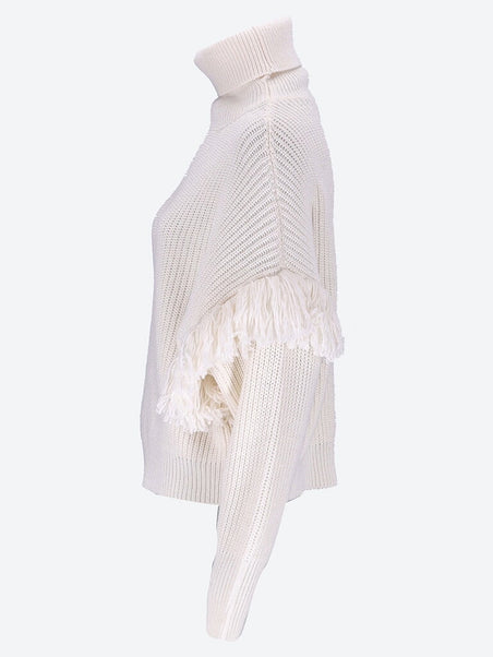Ejoy knitted fringes turtleneck swe
