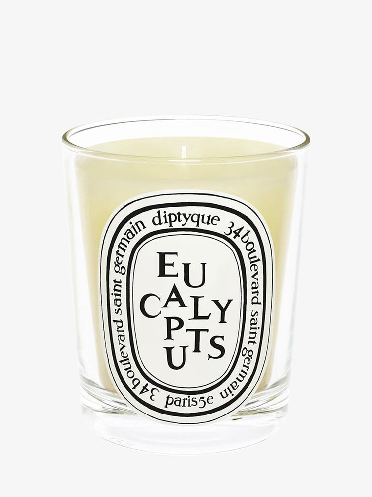 Eucalyptus candle 1