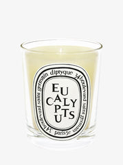 Eucalyptus candle ref: