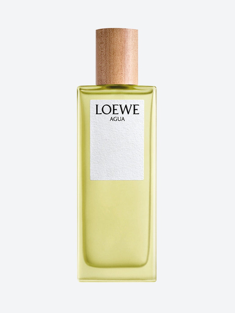 Loewe agua Eau de toilette 1