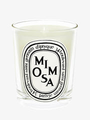 Mimosa candle ref: